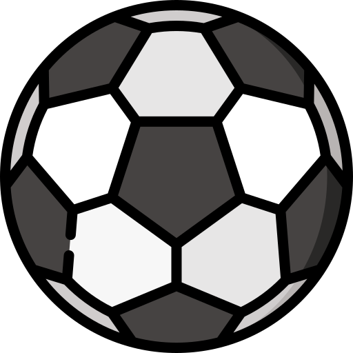 Sports Soccer